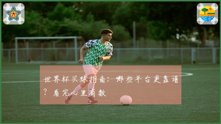 世界杯买球指南：哪些平台更靠谱？看完心里有数