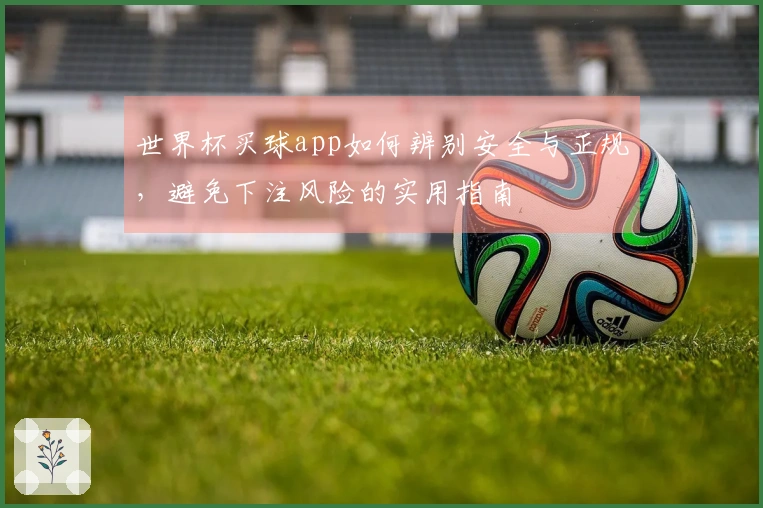 世界杯买球app如何辨别安全与正规，避免下注风险的实用指南