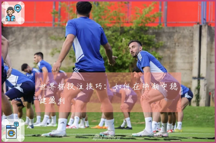 世界杯投注技巧：如何在热潮中稳健盈利