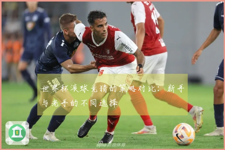 世界杯滚球竞猜的策略对比：新手与老手的不同选择