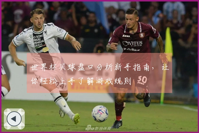 世界杯买球盘口分析新手指南，让你轻松上手了解游戏规则