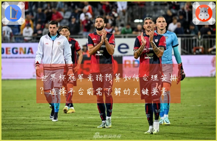 世界杯冠军竞猜预算如何合理安排？选择平台前需了解的关键要素