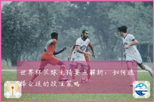 世界杯买球竞猜要点解析，如何选择合适的投注策略
