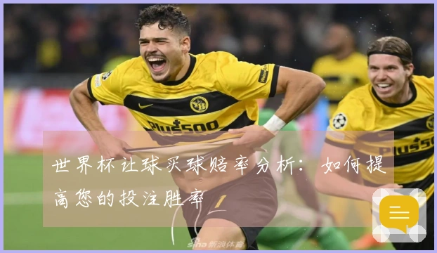世界杯让球买球赔率分析：如何提高您的投注胜率