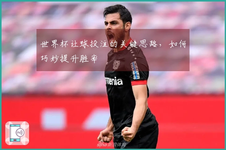 世界杯让球投注的关键思路，如何巧妙提升胜率