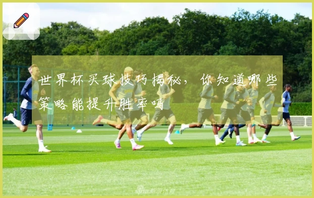 世界杯买球技巧揭秘，你知道哪些策略能提升胜率吗