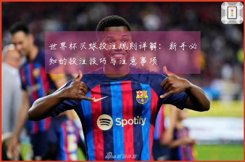 世界杯买球投注规则详解：新手必知的投注技巧与注意事项
