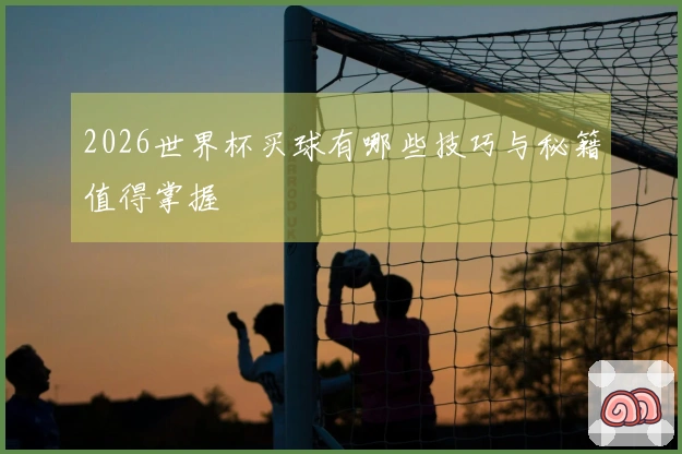 2026世界杯买球有哪些技巧与秘籍值得掌握