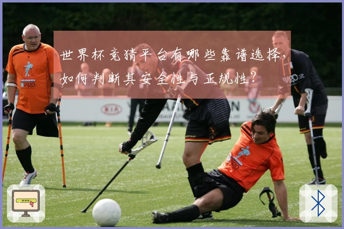世界杯竞猜平台有哪些靠谱选择，如何判断其安全性与正规性？