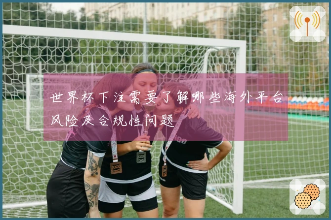世界杯下注需要了解哪些海外平台风险及合规性问题