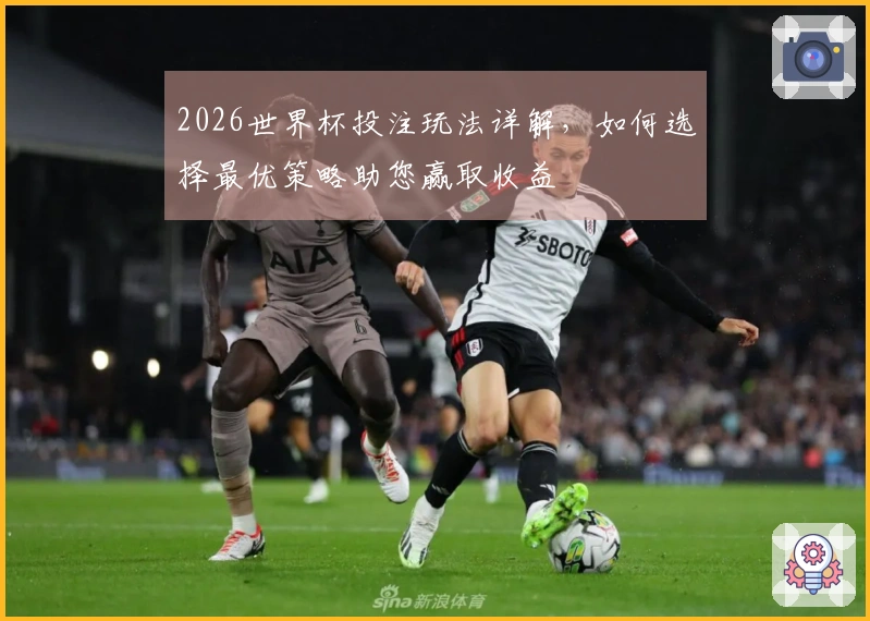 2026世界杯投注玩法详解，如何选择最优策略助您赢取收益