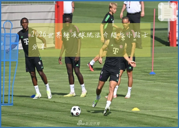 2026世界杯滚球玩法介绍与小贴士分享
