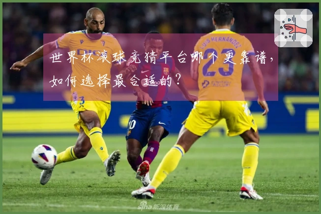世界杯滚球竞猜平台哪个更靠谱，如何选择最合适的？