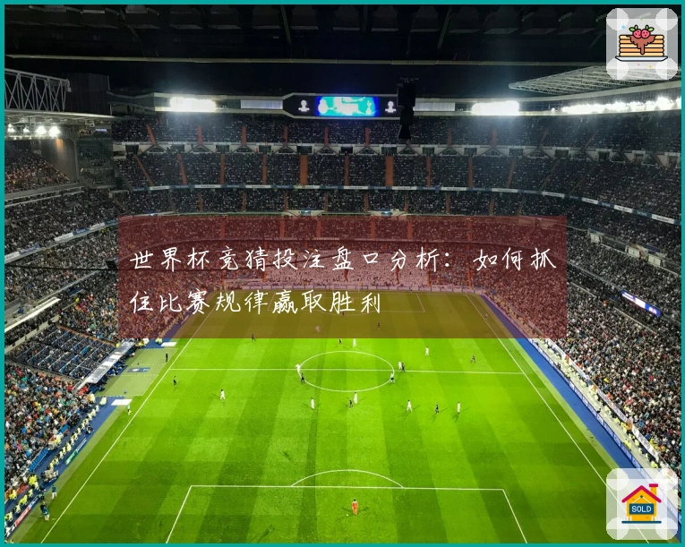 世界杯竞猜投注盘口分析：如何抓住比赛规律赢取胜利