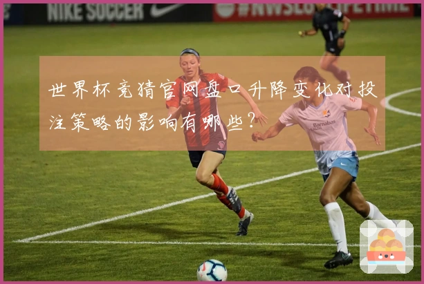 世界杯竞猜官网盘口升降变化对投注策略的影响有哪些？