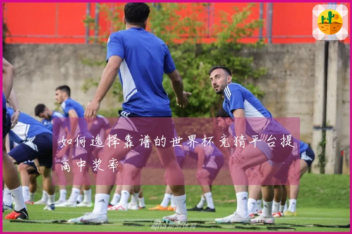 如何选择靠谱的世界杯竞猜平台提高中奖率