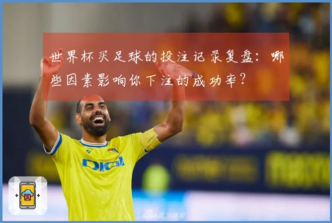 世界杯买足球的投注记录复盘：哪些因素影响你下注的成功率？