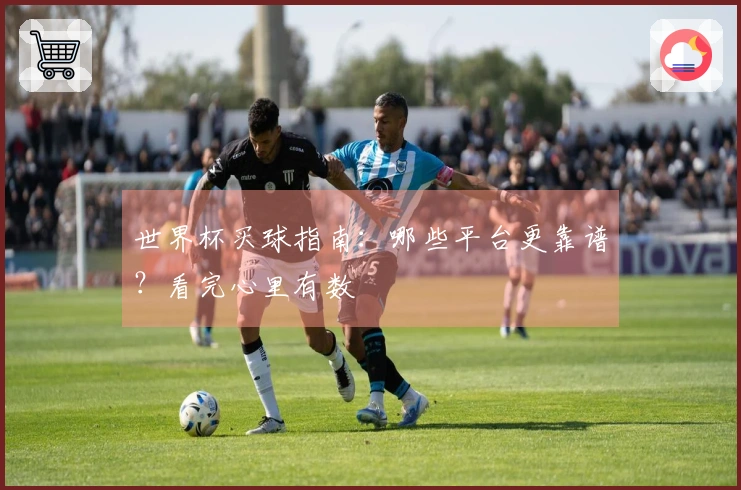 世界杯买球指南：哪些平台更靠谱？看完心里有数