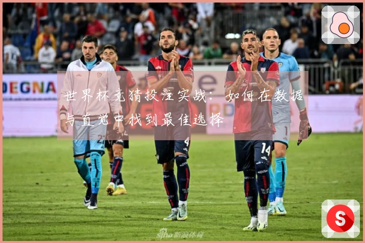 世界杯竞猜投注实战：如何在数据与直觉中找到最佳选择