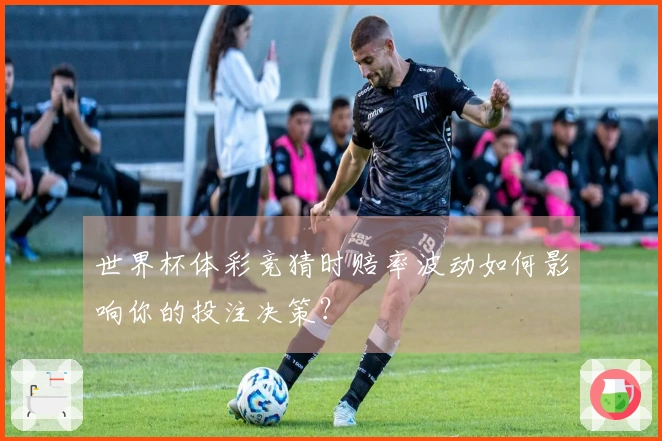世界杯体彩竞猜时赔率波动如何影响你的投注决策？
