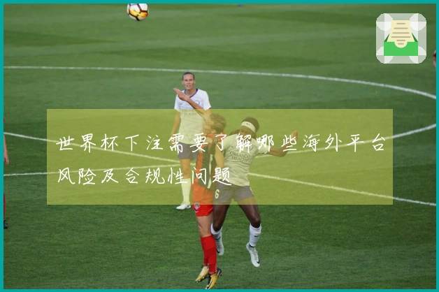 世界杯下注需要了解哪些海外平台风险及合规性问题