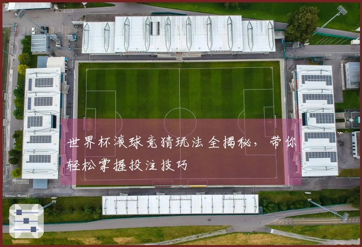 世界杯滚球竞猜玩法全揭秘，带你轻松掌握投注技巧