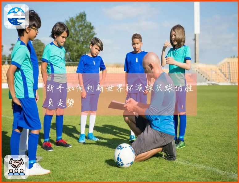 新手如何判断世界杯滚球买球的胜负走势