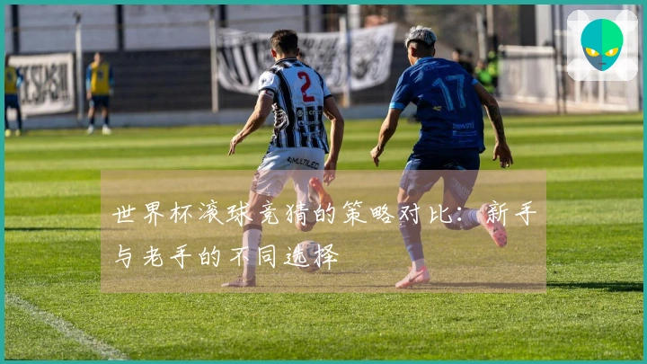 世界杯滚球竞猜的策略对比：新手与老手的不同选择