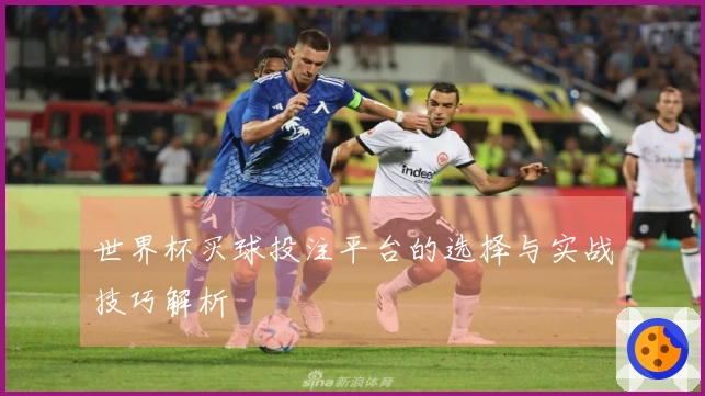 世界杯买球投注平台的选择与实战技巧解析