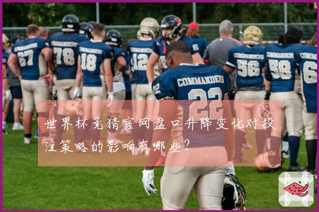 世界杯竞猜官网盘口升降变化对投注策略的影响有哪些？