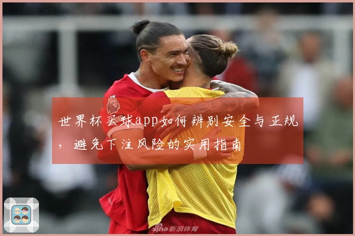 世界杯买球app如何辨别安全与正规，避免下注风险的实用指南