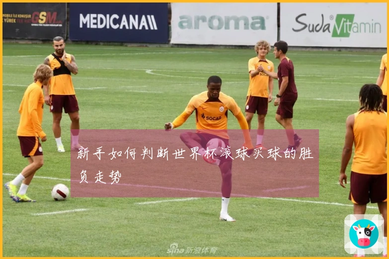 新手如何判断世界杯滚球买球的胜负走势