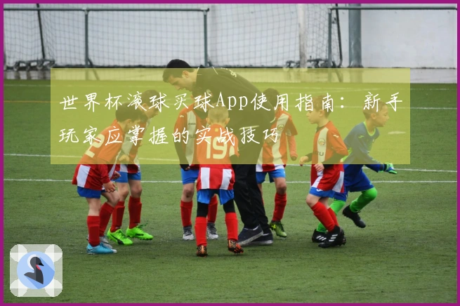 世界杯滚球买球App使用指南：新手玩家应掌握的实战技巧