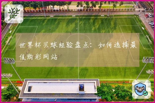 世界杯买球经验盘点：如何选择最佳购彩网站
